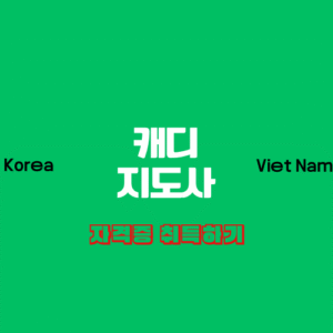 캐디지도사